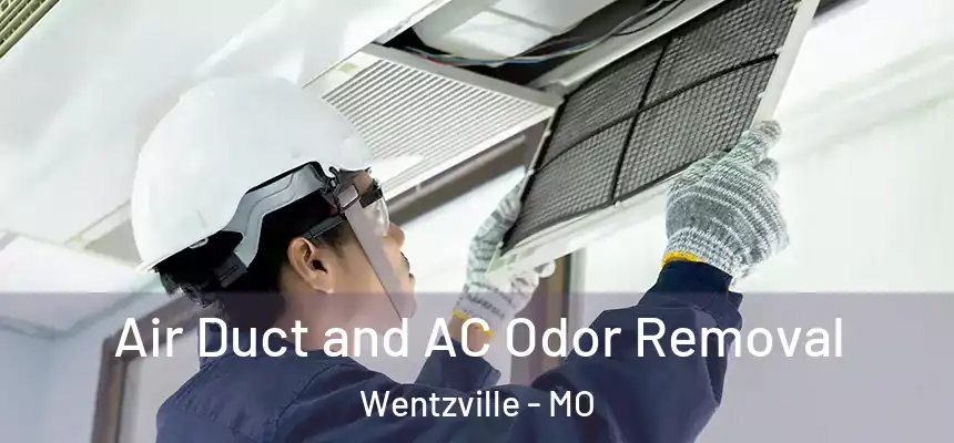  Air Duct and AC Odor Removal Wentzville - MO