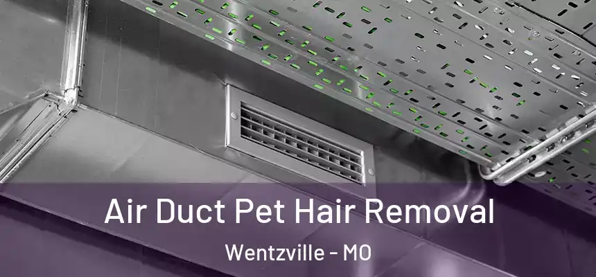  Air Duct Pet Hair Removal Wentzville - MO