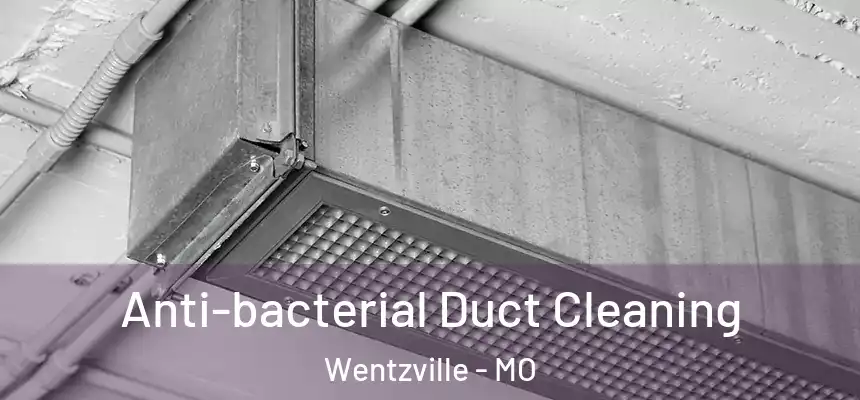  Anti-bacterial Duct Cleaning Wentzville - MO
