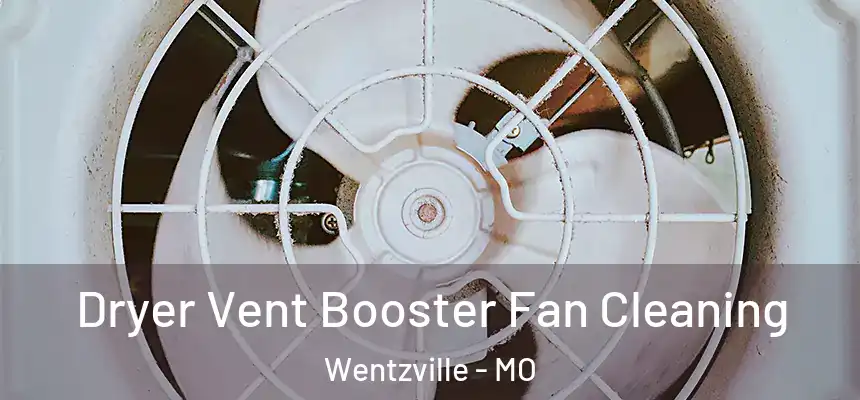  Dryer Vent Booster Fan Cleaning Wentzville - MO