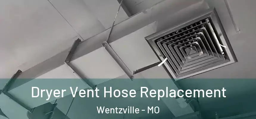  Dryer Vent Hose Replacement Wentzville - MO