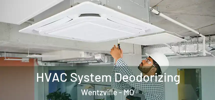  HVAC System Deodorizing Wentzville - MO