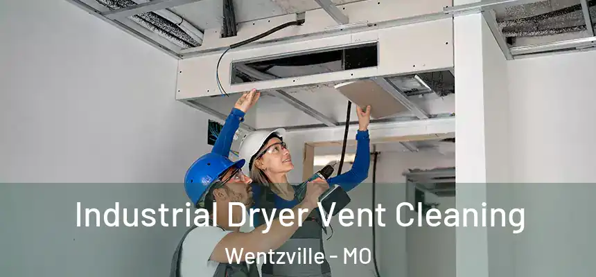 Industrial Dryer Vent Cleaning Wentzville - MO