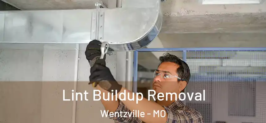 Lint Buildup Removal Wentzville - MO