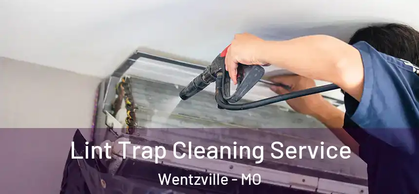 Lint Trap Cleaning Service Wentzville - MO
