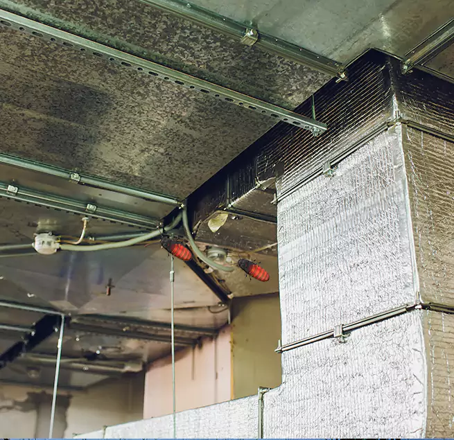 Why Homeowners & Businesses Trust Us in Wentzville, MO?