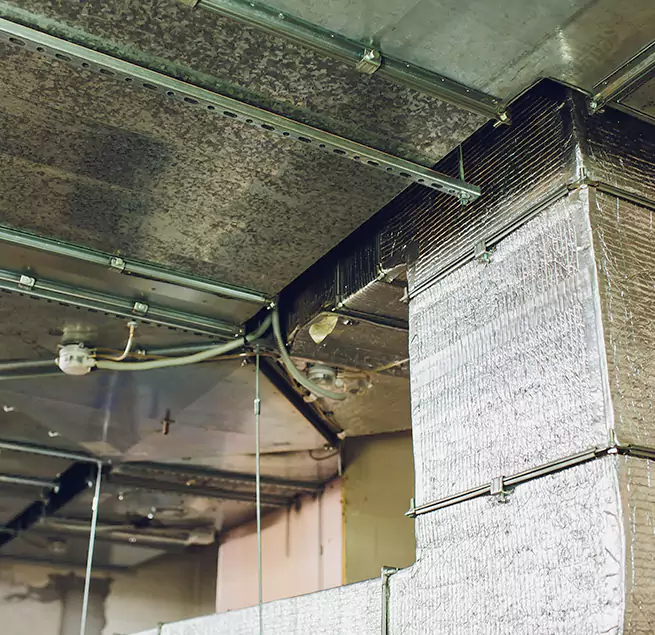 Why Homeowners & Businesses Trust Us in Wentzville, MO?