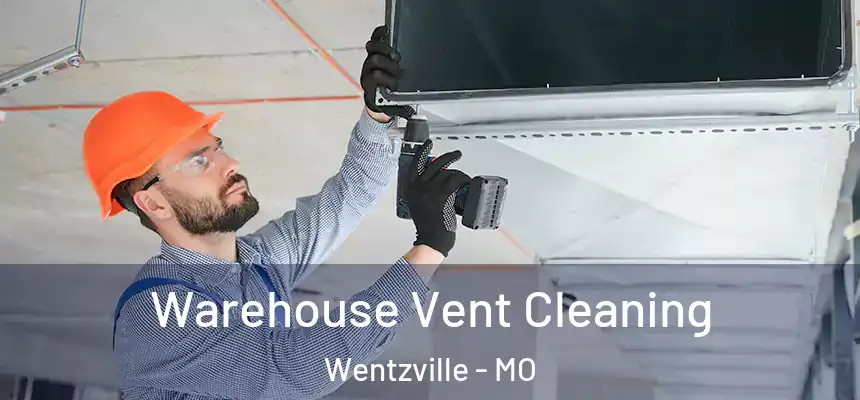  Warehouse Vent Cleaning Wentzville - MO